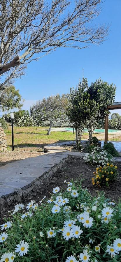 Lispusada Agriturismo Adults Only Biancareddu Extérieur photo