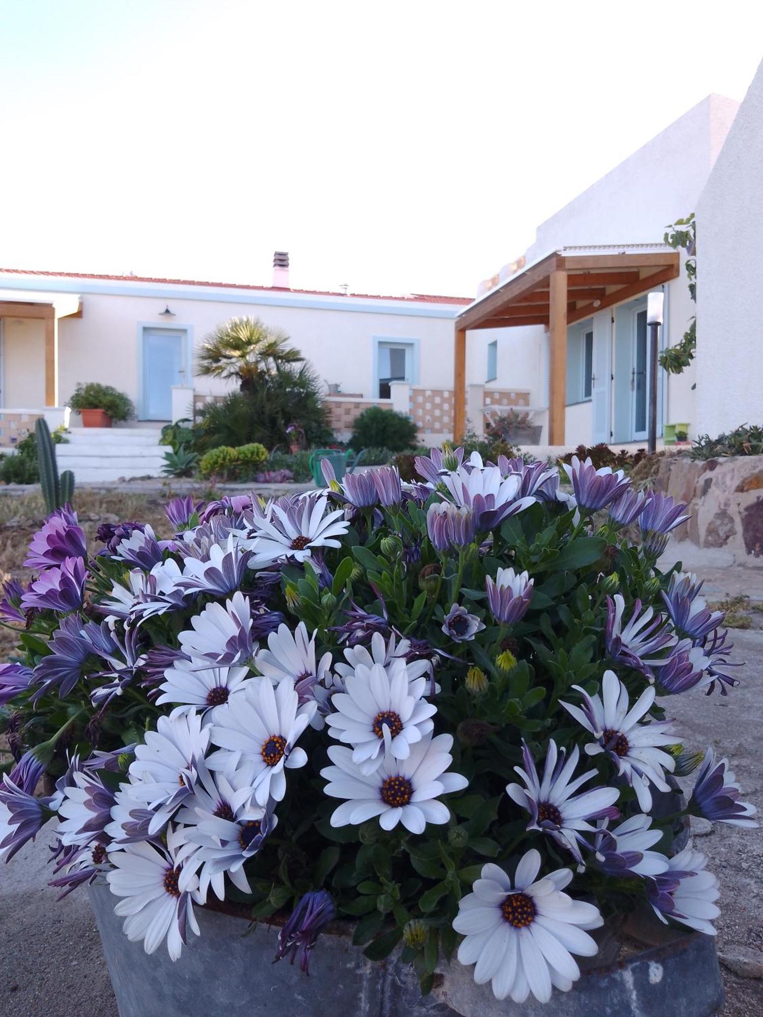 Lispusada Agriturismo Adults Only Biancareddu Extérieur photo